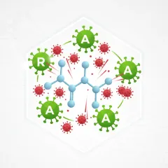 L-lysine amino acid illustration, a key HerpaFend ingredient