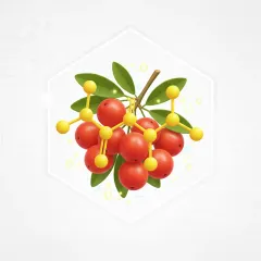 Camu-camu berries, the vitamin C source in HerpaFend